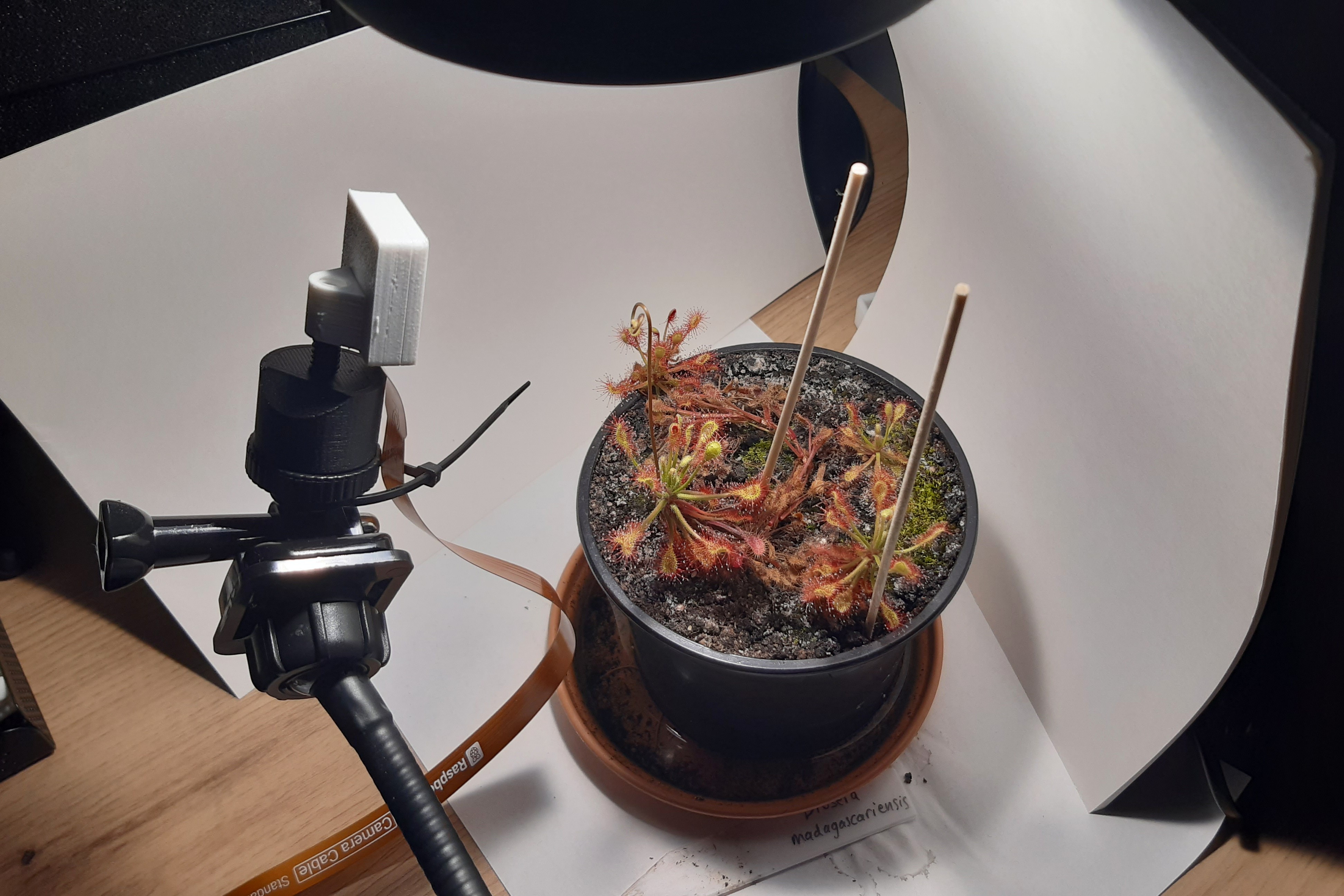 Finished setup from above