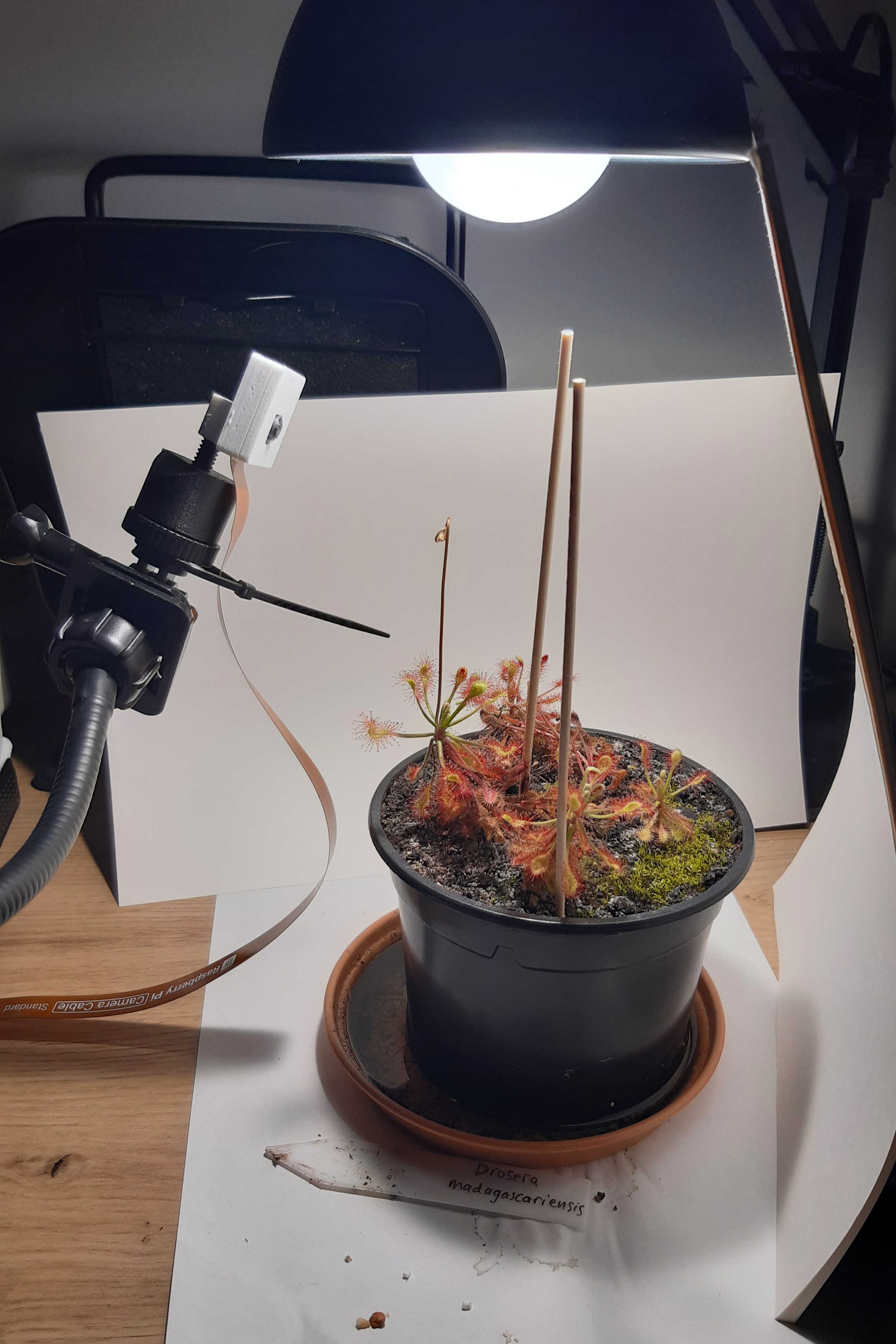 Finished setup from the side